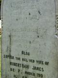 image of grave number 205720